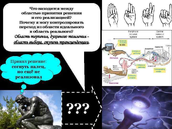 Что находится между областью принятия решения и его реализацией? Почему я могу контролировать переход