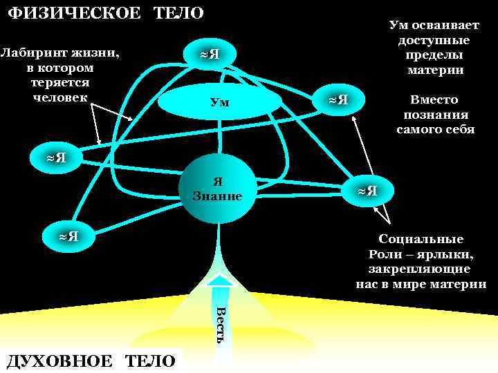 ФИЗИЧЕСКОЕ ТЕЛО Лабиринт жизни, в котором теряется человек Ум осваивает доступные пределы материи ≈Я