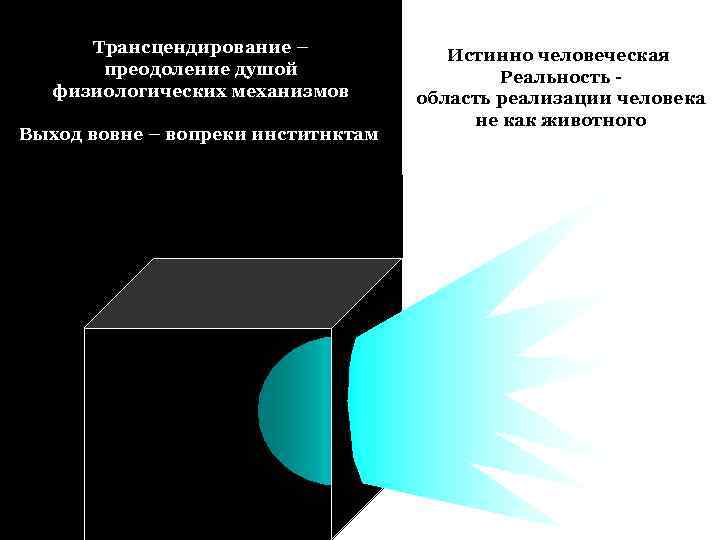 Трансцендирование – преодоление душой физиологических механизмов Выход вовне – вопреки инститнктам Истинно человеческая Реальность