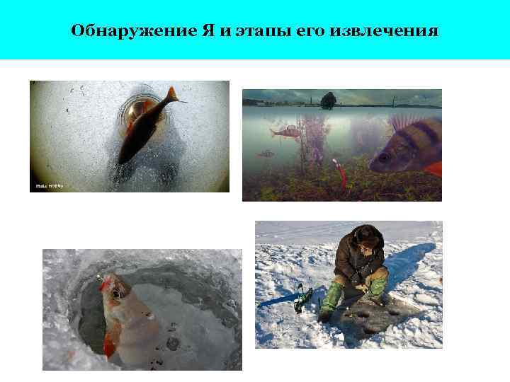 Обнаружение Я и этапы его извлечения 