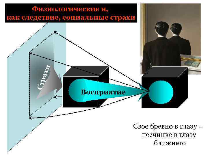 Стр ахи Физиологические и, как следствие, социальные страхи Восприятие Свое бревно в глазу =