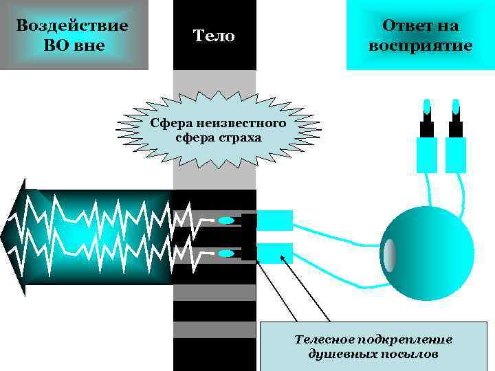 Воздействие ВО вне Тело Ответ на восприятие Сфера неизвестного сфера страха Телесное подкрепление душевных