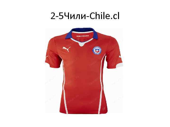 2 -5 Чили-Chile. cl 