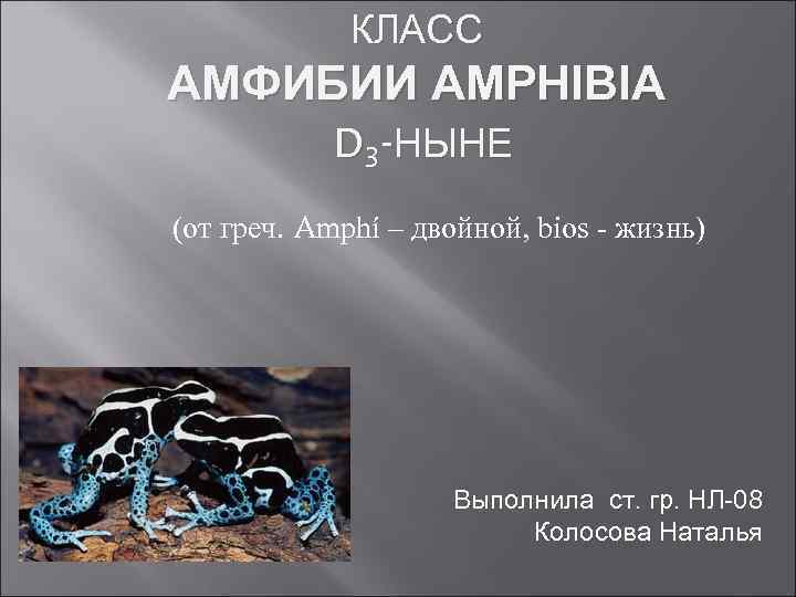 КЛАСС АМФИБИИ AMPHIBIA D 3 -НЫНЕ (от греч. Amphí – двойной, bios - жизнь)