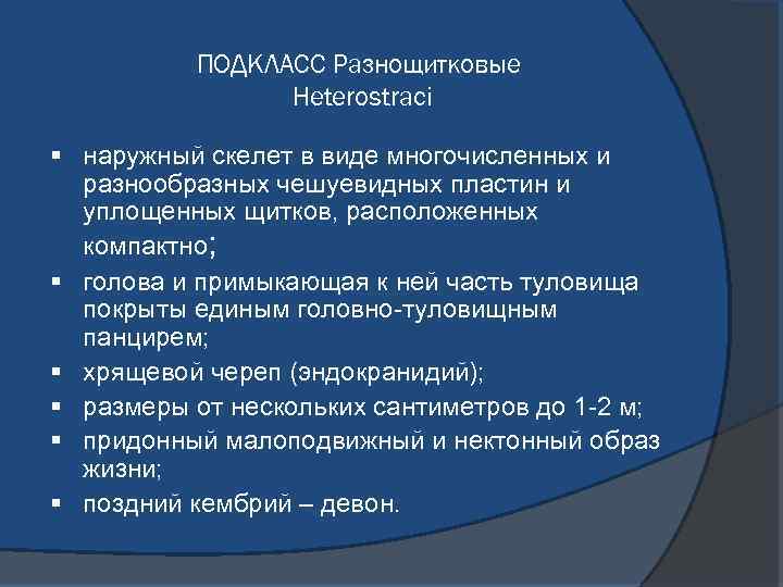 ПОДКЛАСС Разнощитковые Heterostraci § наружный скелет в виде многочисленных и разнообразных чешуевидных пластин и