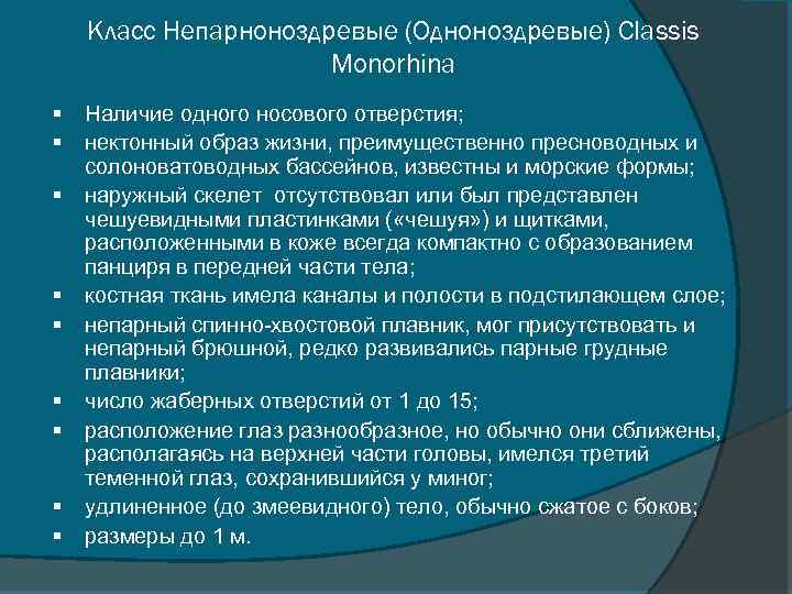Класс Непарноноздревые (Одноноздревые) CIassis Monorhina § § § § § Наличие одного носового отверстия;