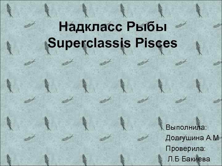 Надкласс Рыбы Superclassis Pisces Выполнила: Долгушина А. М Проверила: Л. Б Бакиева 