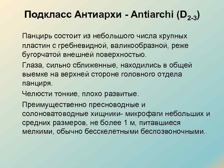 Подкласс Антиархи - Antiarchi (D 2 -3) Панцирь состоит из небольшого числа крупных пластин