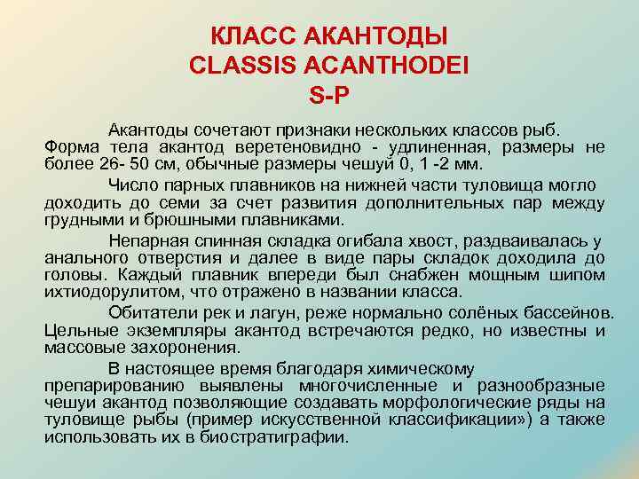 КЛАСС АКАНТОДЫ CLASSIS ACANTHODEI S-P Акантоды сочетают признаки нескольких классов рыб. Форма тела акантод