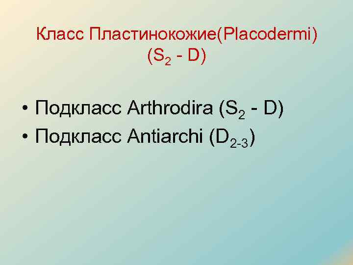 Класс Пластинокожие(Placodermi) (S 2 D) • Подкласс Arthrodira (S 2 D) • Подкласс Antiarchi