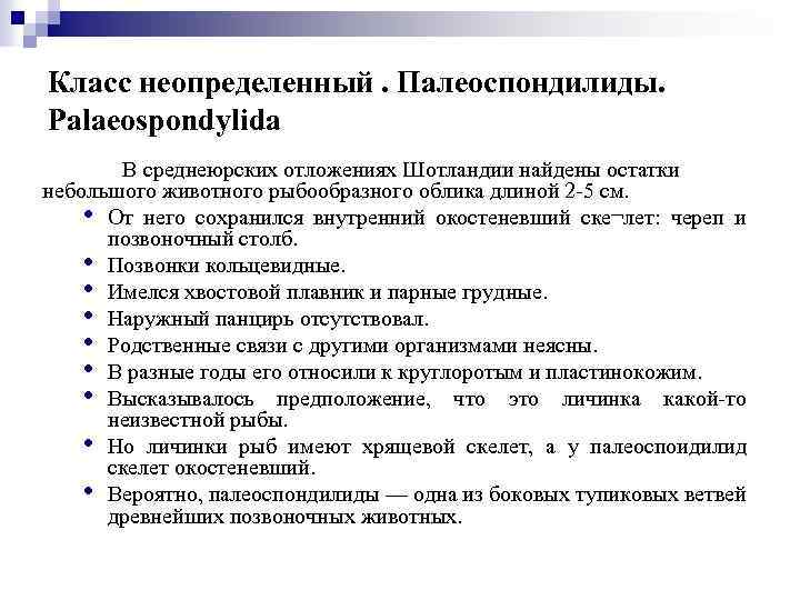 Класс неопределенный. Палеоспондилиды. Palaeospondylida В среднеюрских отложениях Шотландии найдены остатки небольшого животного рыбообразного облика