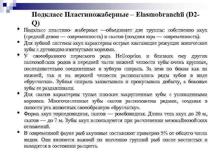 • • • Подкласс Пластиножаберные – Elasmobranchii (D 2 Q) Подкласс пластино- жаберные