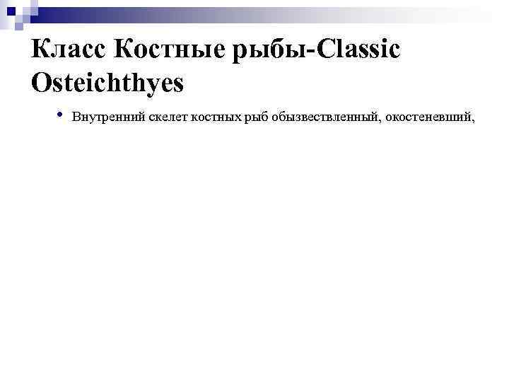 Класс Костные рыбы-Classic Osteichthyes • Внутренний скелет костных рыб обызвествленный, окостеневший, 