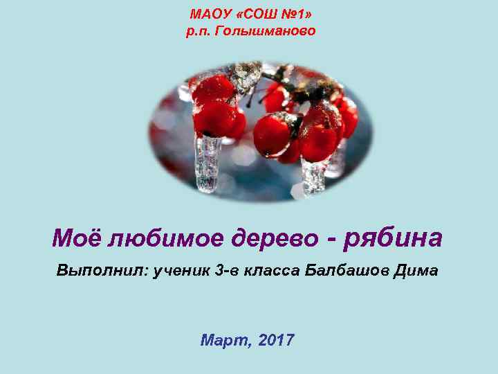 МАОУ «СОШ № 1» р. п. Голышманово Моё любимое дерево - рябина Выполнил: ученик
