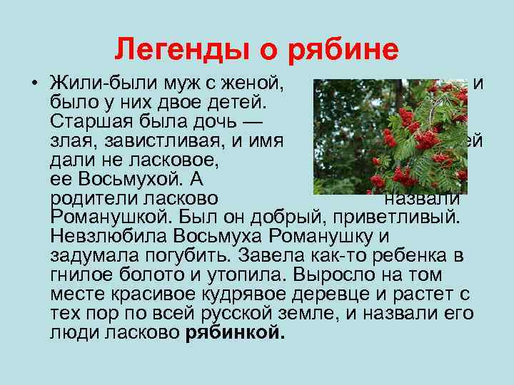 Легенды о рябине • Жили-были муж с женой, и было у них двое детей.