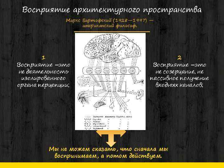 Восприятие архитектурного пространства Маркс Вартофский (1928— 1997) — американский философ. 1 Восприятие –это не