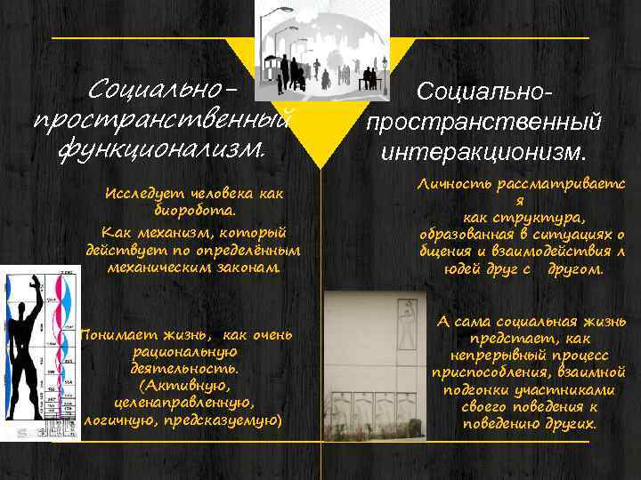 Социальнопространственный функционализм. Исследует человека как биоробота. Как механизм, который действует по определённым механическим законам.