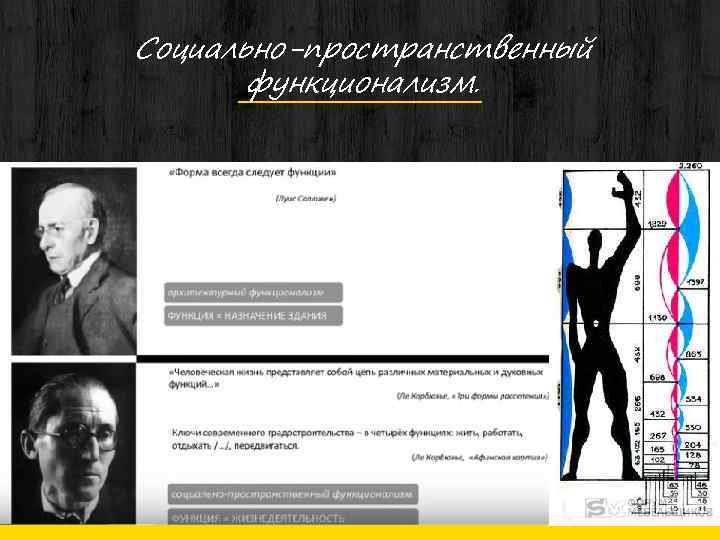 Социально-пространственный функционализм. 