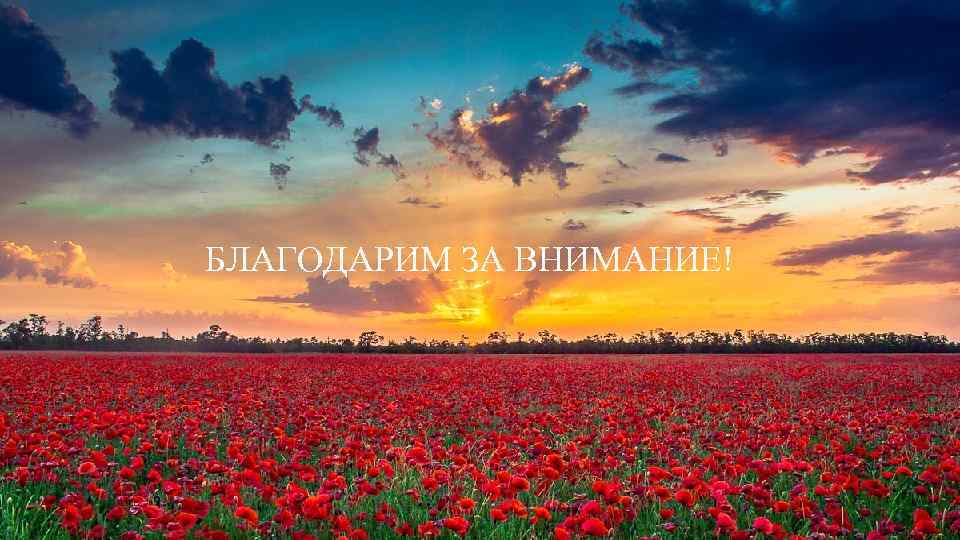 БЛАГОДАРИМ ЗА ВНИМАНИЕ! 