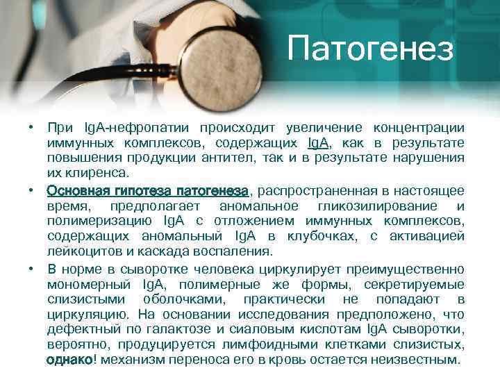 Патогенез • При Ig. A-нефропатии происходит увеличение концентрации иммунных комплексов, содержащих Ig. A, как