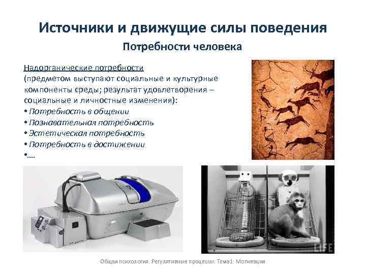 Источники и движущие силы поведения Потребности человека Надорганические потребности (предметом выступают социальные и культурные