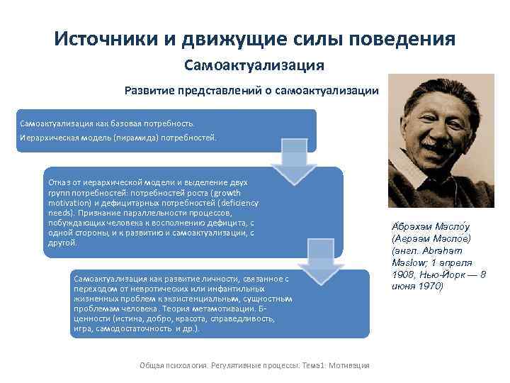 Источники и движущие силы поведения Самоактуализация Развитие представлений о самоактуализации Самоактуализация как базовая потребность.