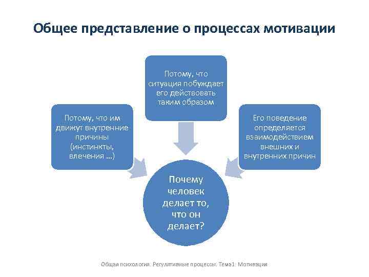 Общее представление о процессах мотивации Потому, что ситуация побуждает его действовать таким образом Потому,