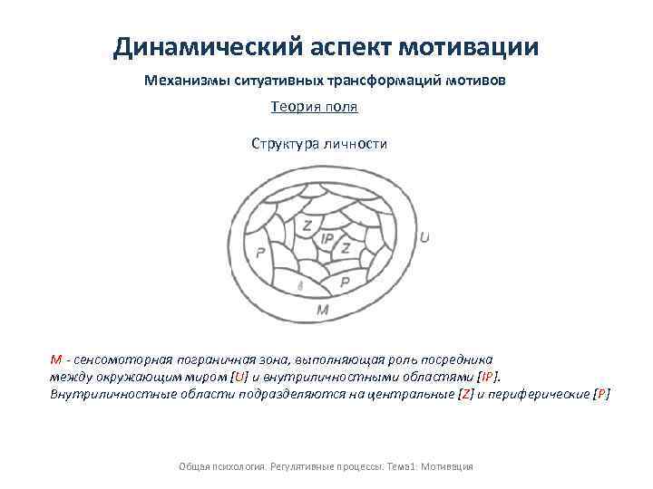 Динамический аспект мотивации Механизмы ситуативных трансформаций мотивов Теория поля Структура личности М сенсомоторная пограничная