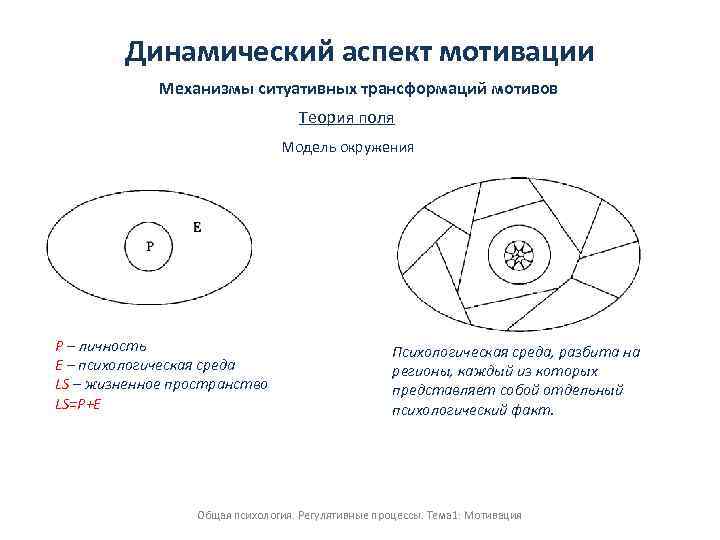 Теория окружения