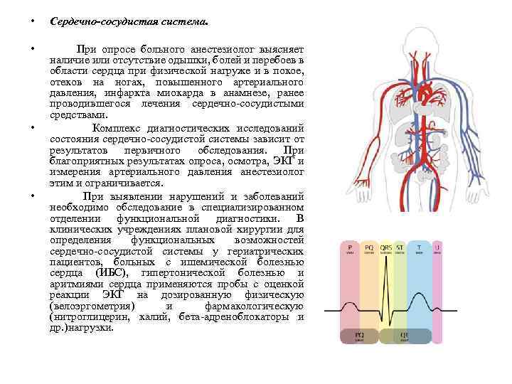  • • Сердечно-сосудистая система. При опросе больного анестезиолог выясняет наличие или отсутствие одышки,
