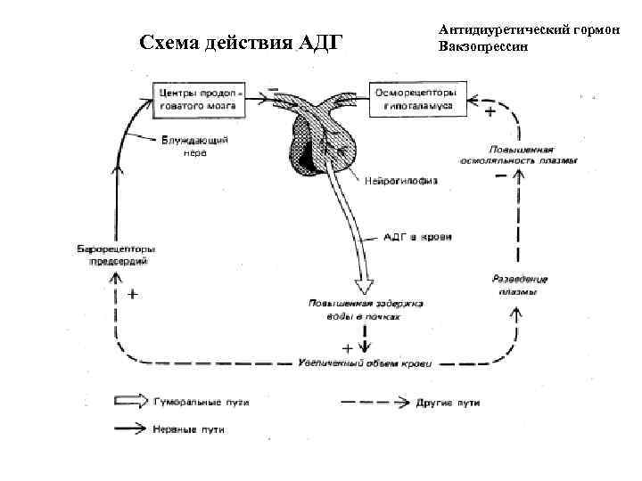 Действующая схема