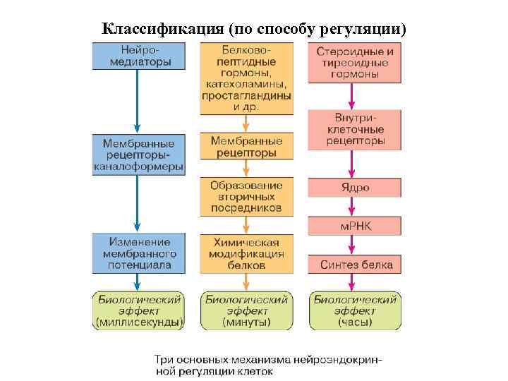 Классификация (по способу регуляции) 