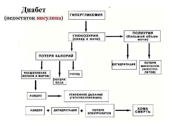 Механизм гипергликемии