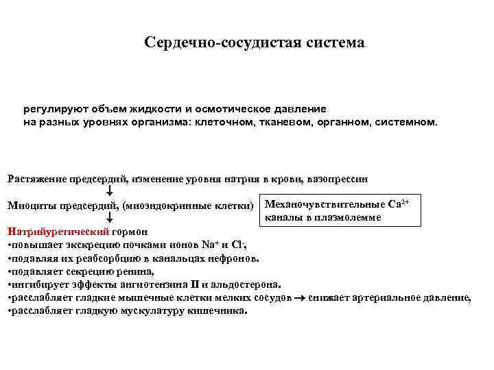 Сердечно-сосудистая система регулируют объем жидкости и осмотическое давление на разных уровнях организма: клеточном, тканевом,