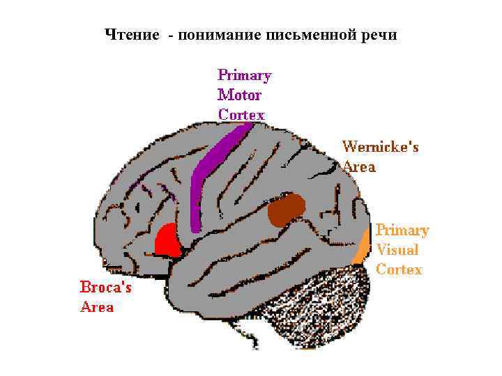 Чтение - понимание письменной речи 