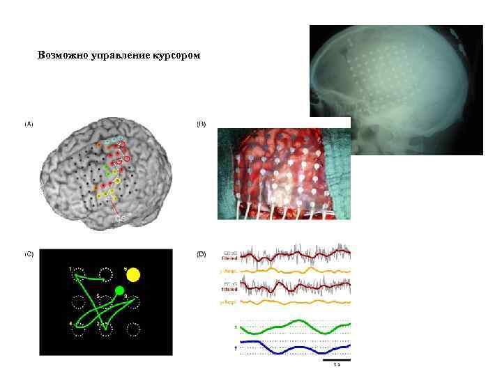 Возможно управление курсором 