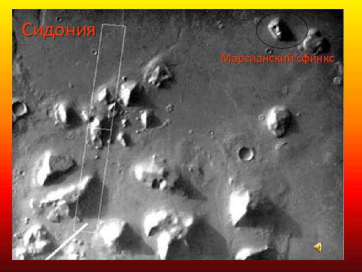 Сидония Марсианский сфинкс 
