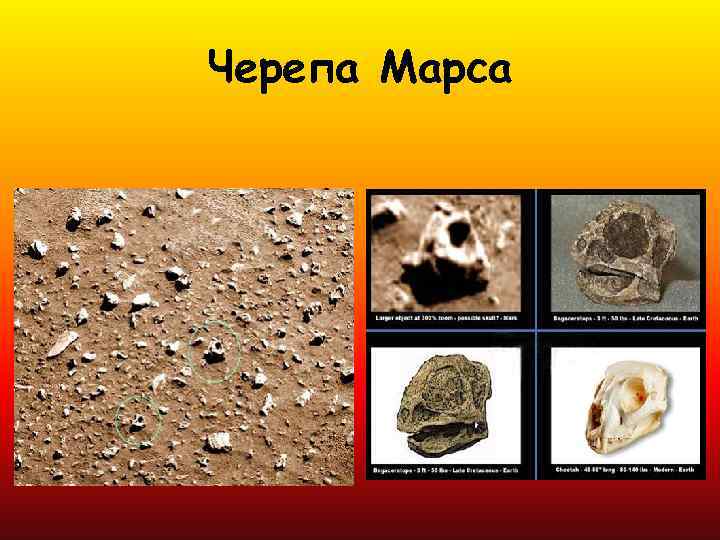 Черепа Марса 