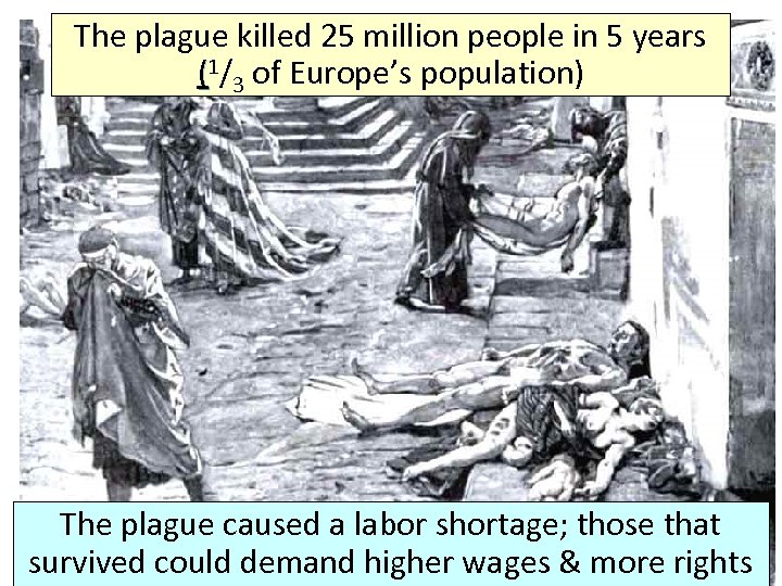 The plague killed 25 million people in 5 years (1/3 of Europe’s population) The