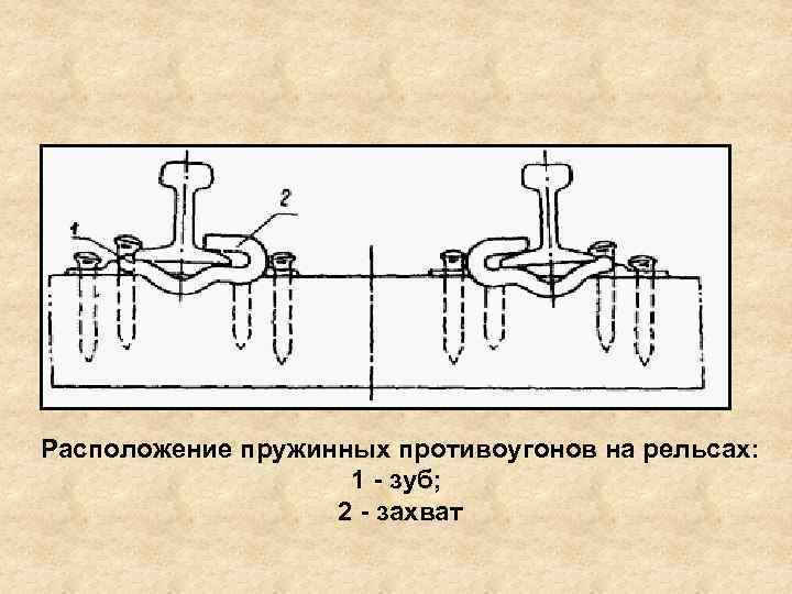 Расположение пружинных противоугонов на рельсах: 1 зуб; 2 захват 