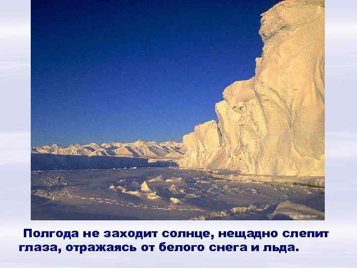 Полгода не заходит солнце, нещадно слепит глаза, отражаясь от белого снега и льда. 