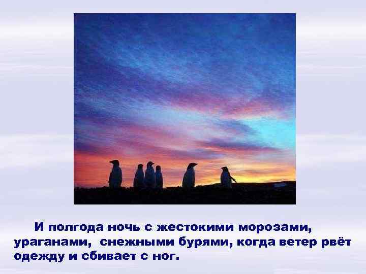 И полгода ночь с жестокими морозами, ураганами, снежными бурями, когда ветер рвёт одежду и