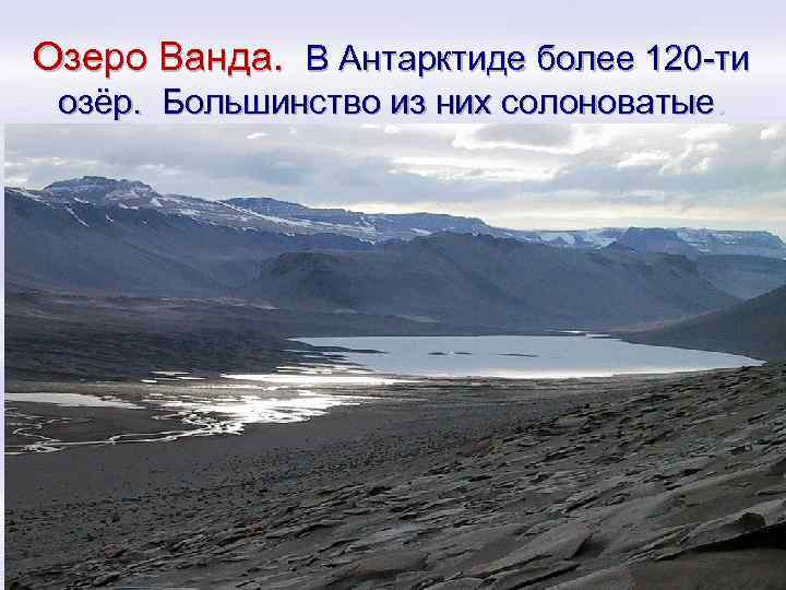 Озеро Ванда. В Антарктиде более 120 -ти озёр. Большинство из них солоноватые. 