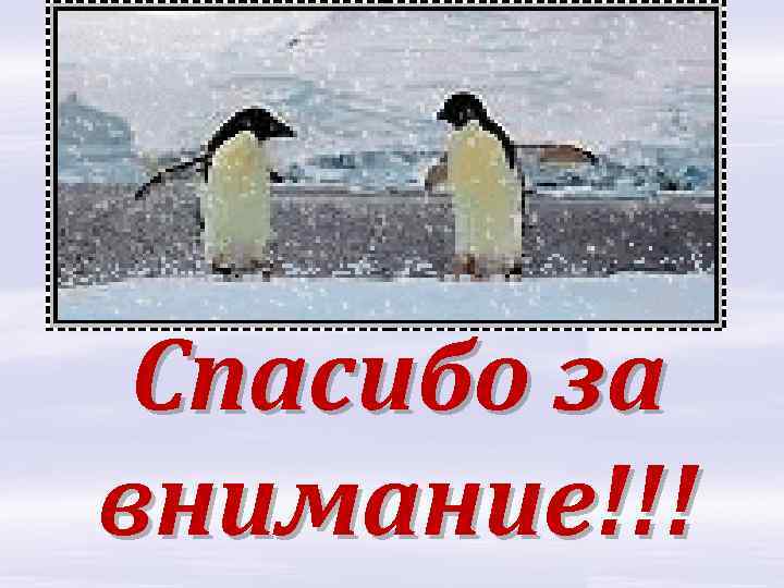Спасибо за внимание!!! 