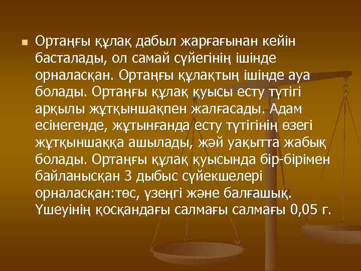 n Ортаңғы құлақ дабыл жарғағынан кейін басталады, ол самай сүйегінің ішінде орналасқан. Ортаңғы құлақтың