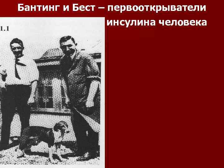 Бантинг и Бест – первооткрыватели инсулина человека 
