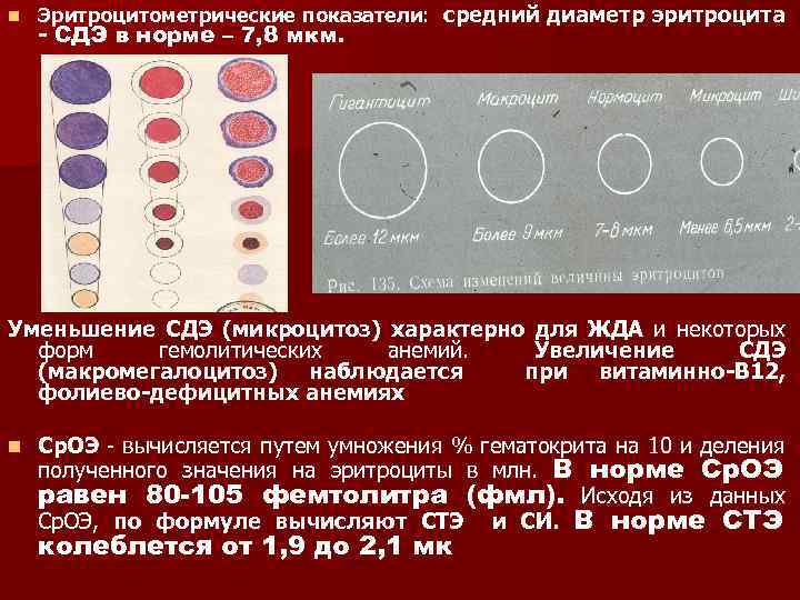 Средний объем эритроцитов это. Средний диаметр эритроцитов норма. Средний диаметр эритроцитов человека:. Диаметр эритроцита в норме. Средний диаметр эритроцита формула.