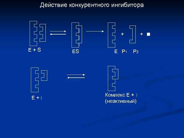 Действие конкурентного ингибитора + Е+S Е+ ES E P 1 + P 2 Комлекс