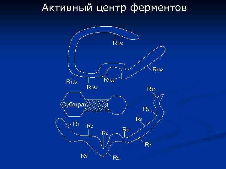 Активный центр ферментов R 169 R 162 R 163 R 165 R 164 R