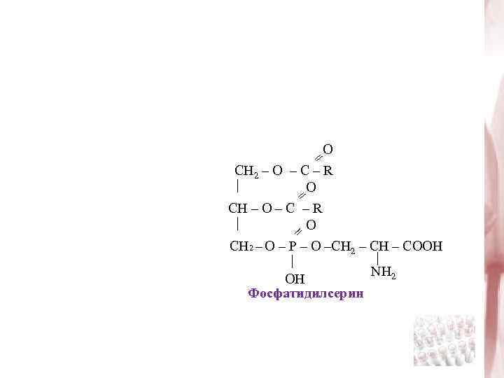 O = СH 2 – O – C – R O = СH –